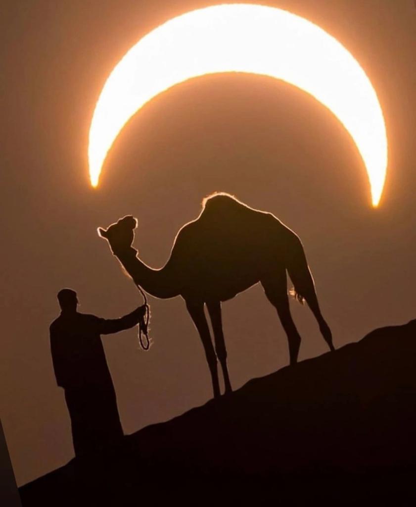savinus_JNr's tweet photo. Happy ending of Eid Al Adha to all my Muslim's sisters and brothers 
 #hapyending
 #Adhamubarak
 #adhawalwadha 
@ArseneSavinus1 @ojaymtanashaty @makusanyafoundation https://t.co/ILgYbVvBMD