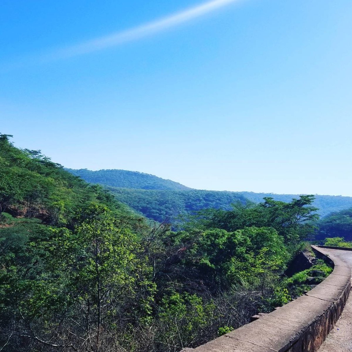 #ZimBho👍 tweet media