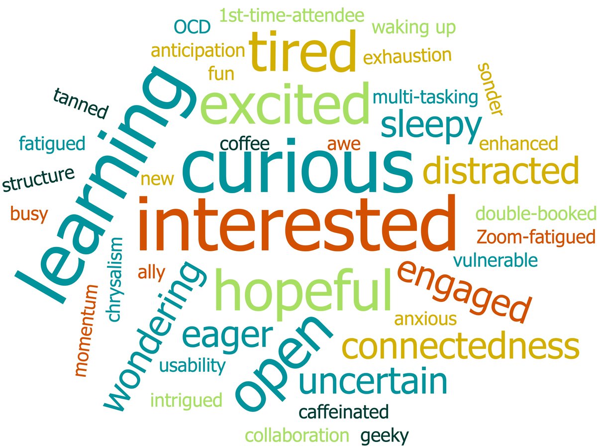 Yesterday, keynote speaker Jessica Meyerson asked participants to share “Two words that describe how you are entering this virtual space... What are you bringing with you into this virtual room?” and look at this awesome word cloud we got from the responses!