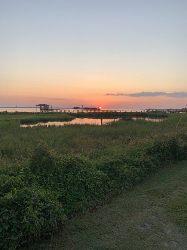 F3SwampAngel's tweet photo. #AOBeautycontest2021 Swamp Angel!  ⁦@F3Charleston⁩ ⁦@F3Nation⁩ https://t.co/CUd0OFk4nY