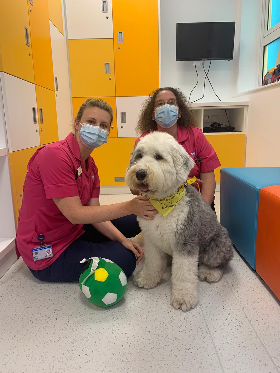 We had the total pleasure of welcoming Nelly and her human mum Judith to the Safeguarding Support Unit <a href="/SheffChildrens/">Sheffield Children's</a> just what we needed #staffwellbeing #wealllovednelly ❤️🥰🐶