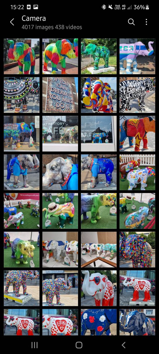 LDOxC21's tweet photo. All 31 large elephants found & photographed ๐๐ฅฐ @BigTrunkTrail @KeechHospice @love_luton @herdinthemall @art_g6 @ChallneyBoys @ChallneyDesign #JoinTheHerd #takeanelphie https://t.co/ZXdoXLBEph