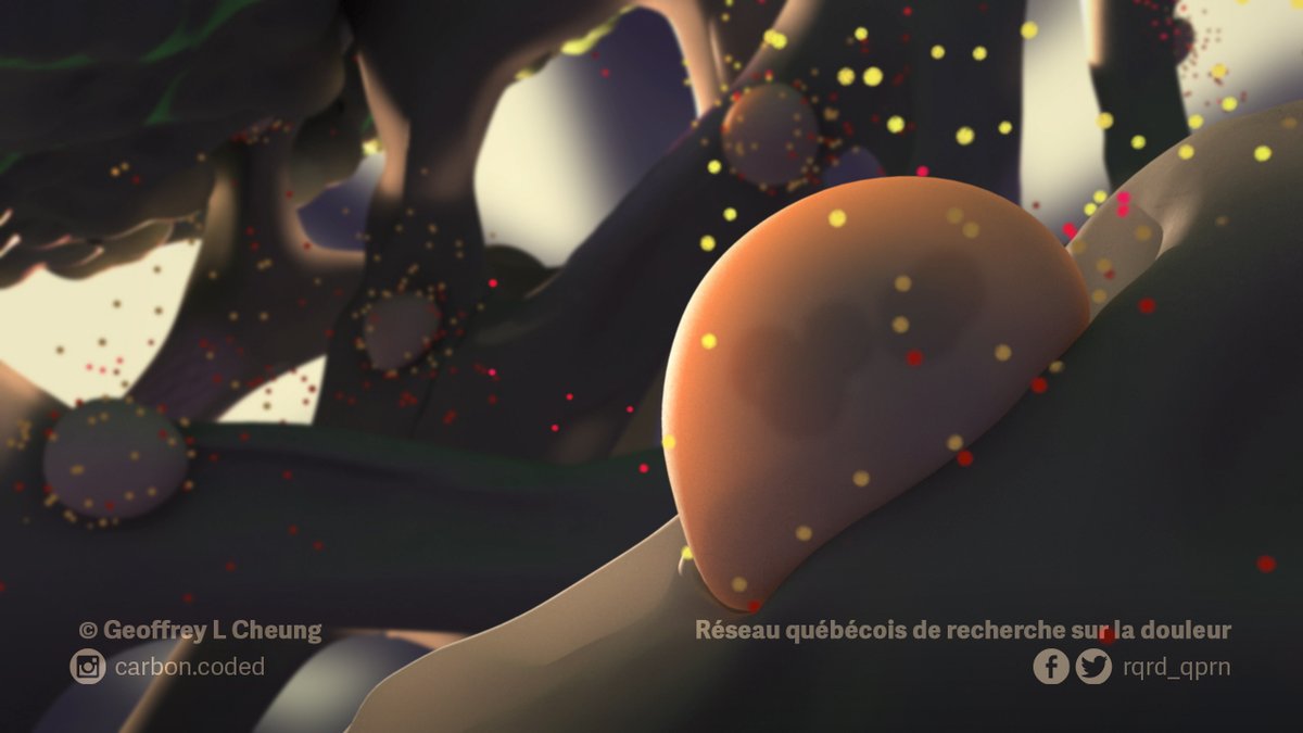 #tbt The animation I created for my Master’s Research Project in 2010 now has a French track thanks to @rqrd_qprn. Hope it’ll reach new audiences and that they find it helpful! #douleur #sciart #scicomm #painresearch youtu.be/RTzNH5pjcR4