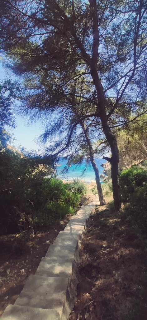 SimoBerlato's tweet photo. Chillin Mallorca https://t.co/c1t9GddShu
