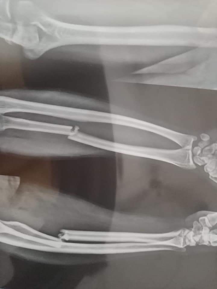 Prathaa Foundation tweet media