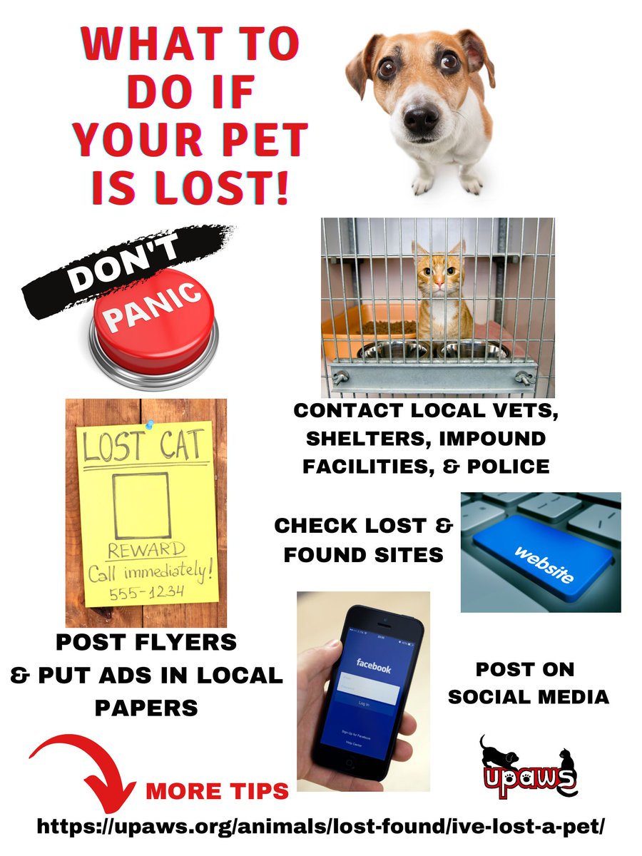 UPAWS1's tweet photo. What to do if your pet gets lost. Please save and share. #lostandfoundpets #beprepared #upaws https://t.co/YB77Yh3jdX