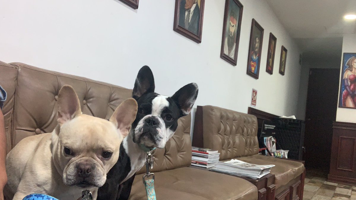 ManCaveBShop's tweet photo. En @ManCaveBShop hemos sido y seremos, por siempre, #Petfriendley cuidemos a nuestros mejores amigos.  #DiaMundialDelPerro https://t.co/2kSTYN1twd