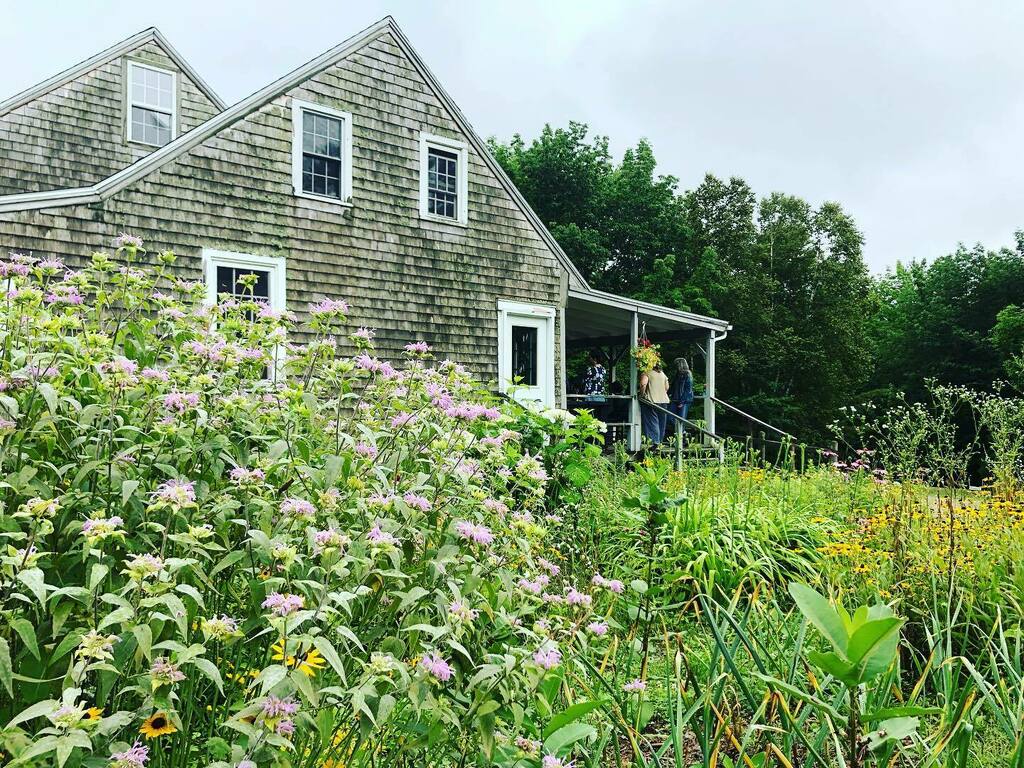 good morning from day 3 of the Slow Fashion Retreat! we’re having a quiet studio morning and the pollinator garden is glowing. instagr.am/p/CRl6m2pIFii/