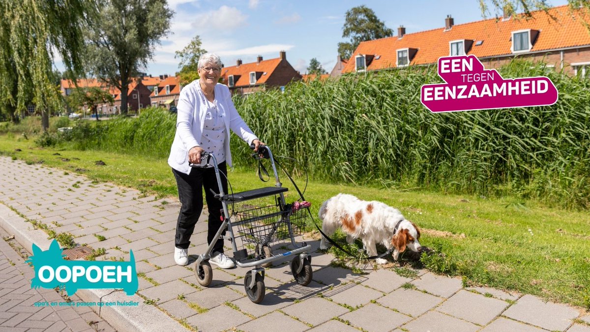 Een oppashond om mee te spelen, knuffelen en tijdens het wandelen sociale contacten mee op te doen is een vrolijk maar krachtig middel tegen eenzaamheid. Wij helpen 55-plussers graag aan een lieve oppashond! oopoeh.nl  #eentegeneenzaamheid #oppashond
