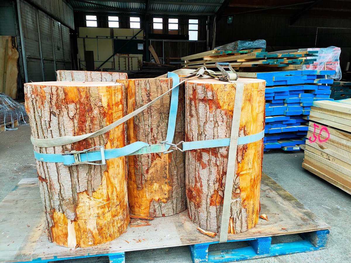 WLWESTSONS's tweet photo. Before ➡️ After 

UK Grown Douglas Fir bollards. 

Contact our sales team with your timber enquiry. 

📞 01798 861 611 
📧 sales@wlwest.co.uk 

#douglasfir #bollards #timber #bespoke #turned #softwood #homegrown #timberworkshop #driveway #woodworking #wood #wlwestsons https://t.co/TniUKUGB80