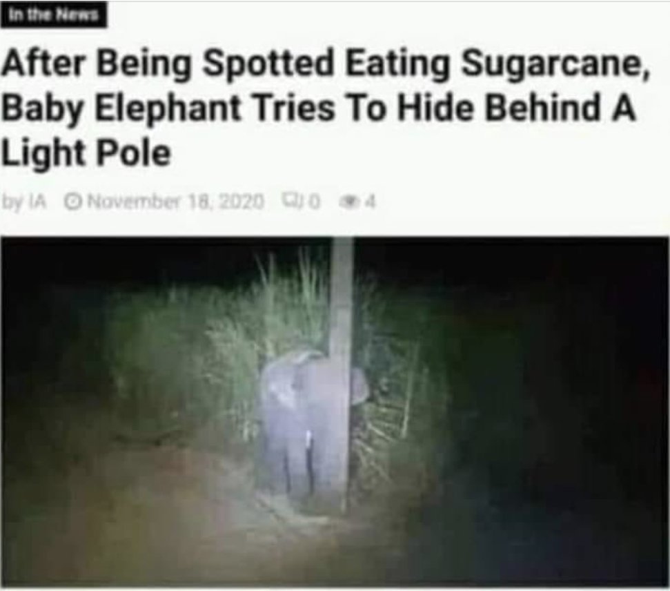 WholesomeMeme's tweet image. 