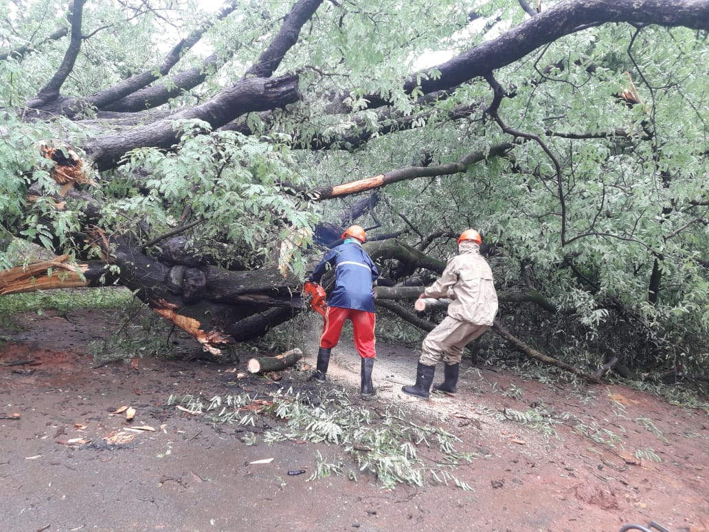 AFO, Malkangiri tweet media