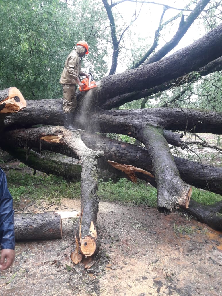 AFO, Malkangiri tweet media