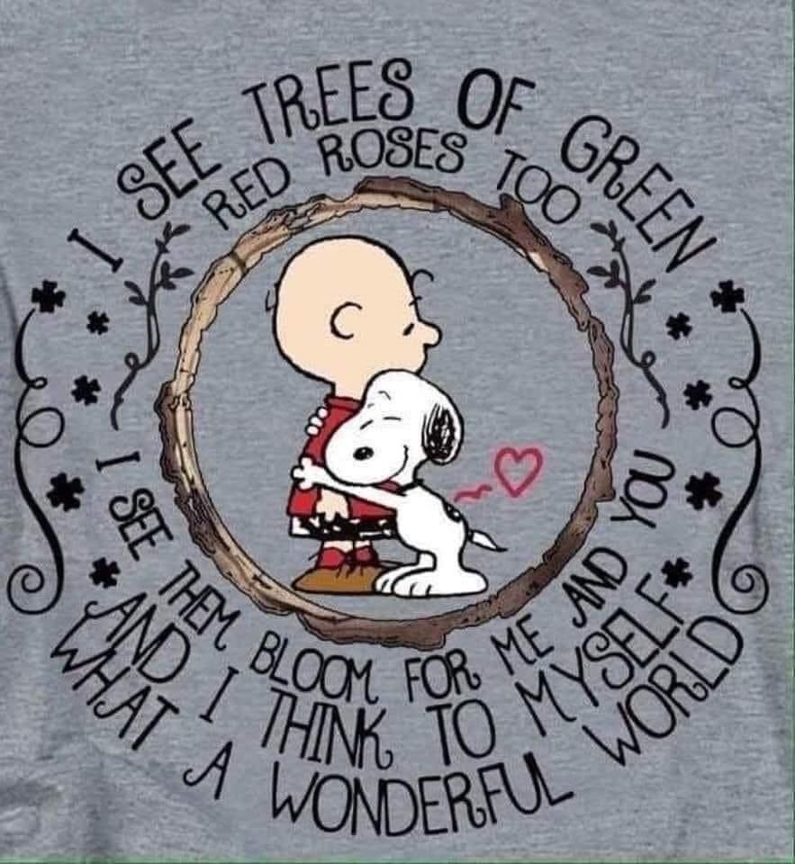 BetsyCowell11's tweet photo. Good morning #behappy #threemuskeeters https://t.co/3Kglq7QIJX