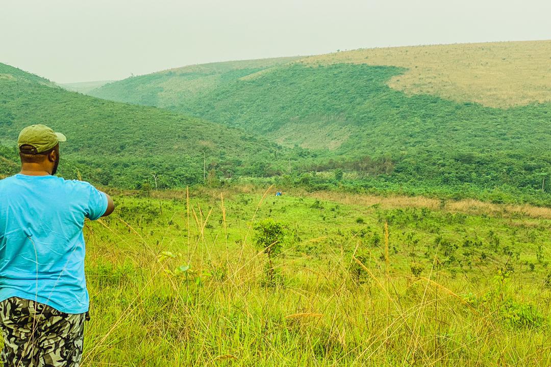 Amini16's tweet photo. And this is the beginning of our food forest. The future eco-village of central Africa. #Permaculture #livingsimple #sustainability @PermaforetCher @GEN_Ecovillages @ecovillagegreen @EcoFindhorn @Permaculture_CH @ConservC https://t.co/DAOmXRbqao