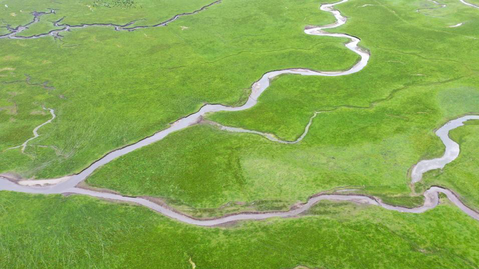 Chineinfocom's tweet photo. #Panorama : #Zone humide d'Awancang au #Gansu
#Paysage de la zone humide d'Awancang dans le district de #Maqu de la préfecture autonome tibétaine de Gannan, dans la province du #Gansu (nord-ouest).
15 juillet 2021
#Chine #nature #voyage #tourisme https://t.co/DxshBsp17t