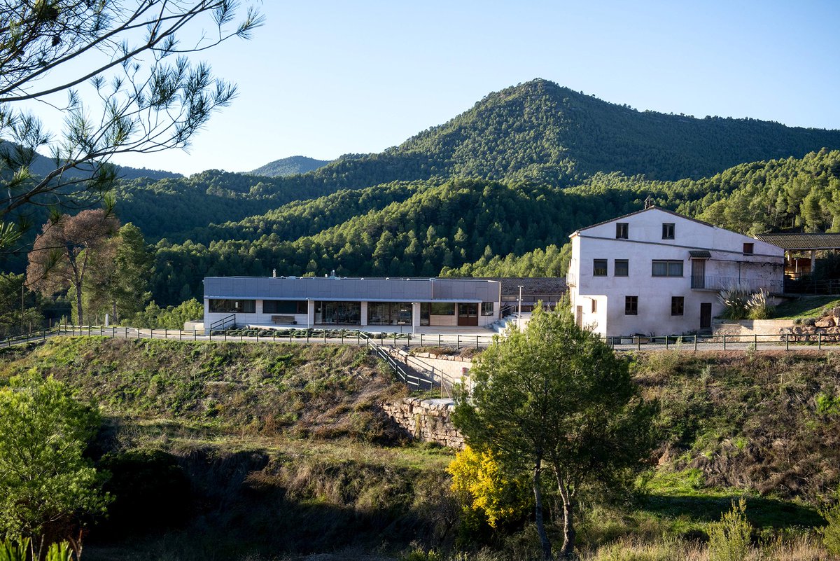 Muntanyolampans's tweet image. El benestar de les cabres és un component clau per a la qualitat de la llet i el formatge 🐐 El nostre ramat pastura a camp obert a la finca #Urpina, en un terreny ideal per mantenir en harmonia les necessitats productives i la conservació de la finca.