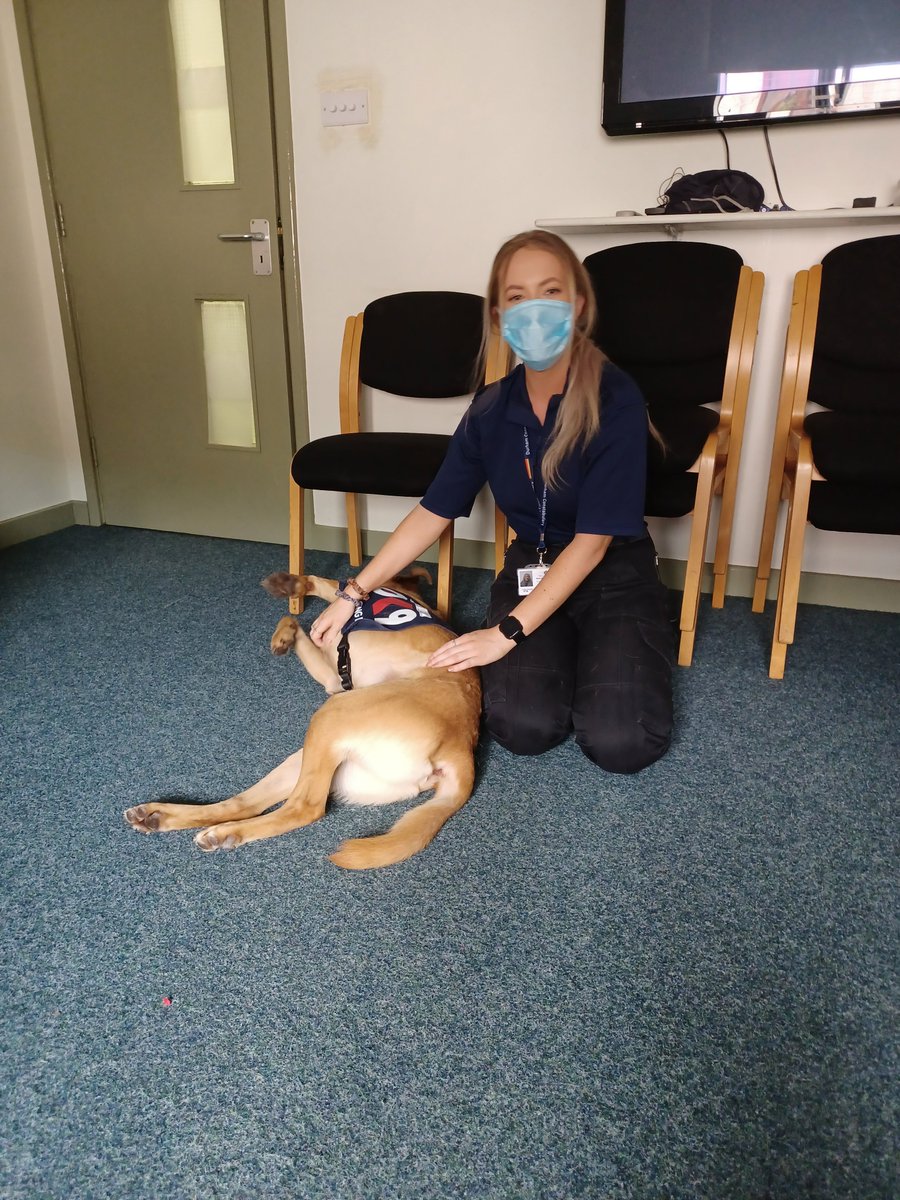 JetandBen's tweet photo. This morning I had a visit with @AycliffePolice @wellbeing_dc @DurhamPolice they loved tickling my tummy where to visit next @OscarKiloNine #policementalhealth #mentalhealth #positivityatwork https://t.co/t407O2M4jv