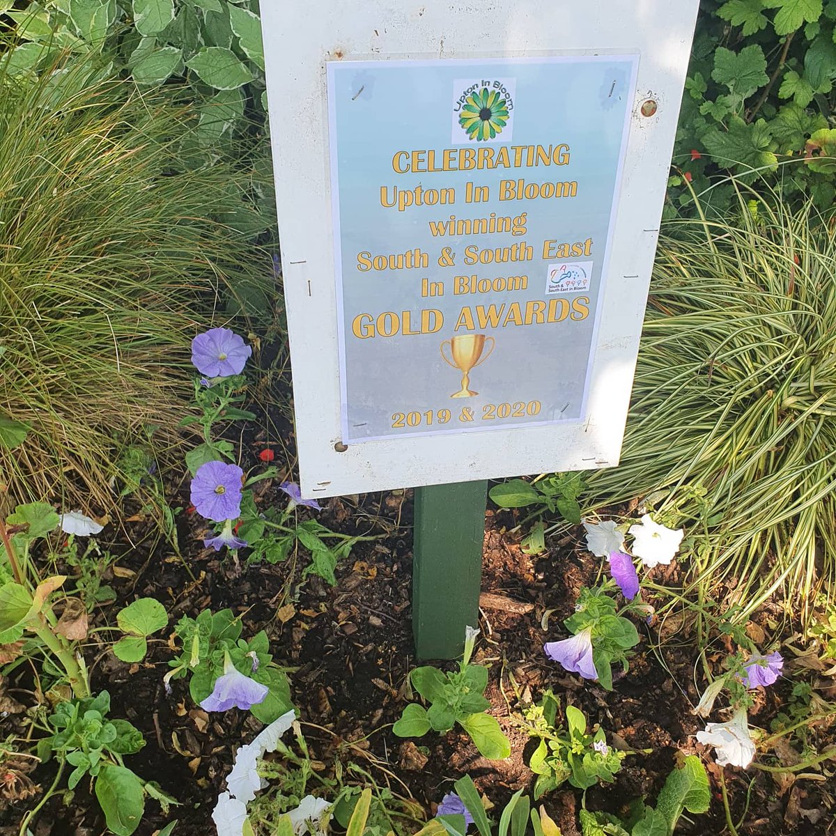 UptonInBloom's tweet photo. So proud of how the town centre looks today. The judges are in for a treat! RHS - @RHSBloom @Bournemouthecho #growingforgold https://t.co/lTApADP5If