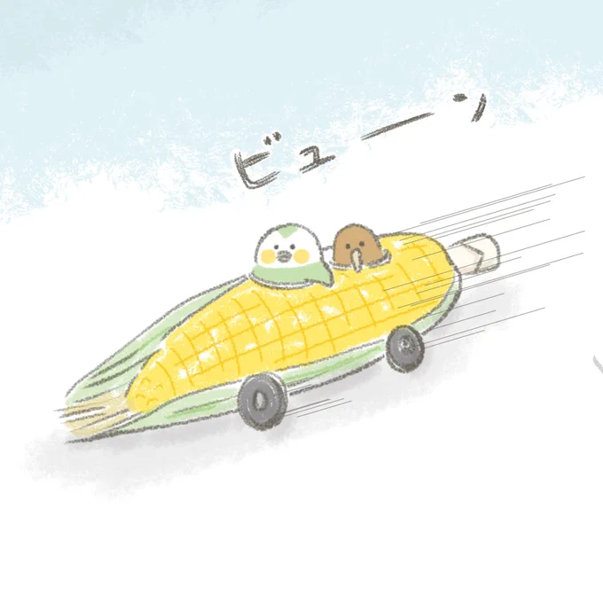 とうもろこしに乗っておでかけするカカポとキーウィ🌻 