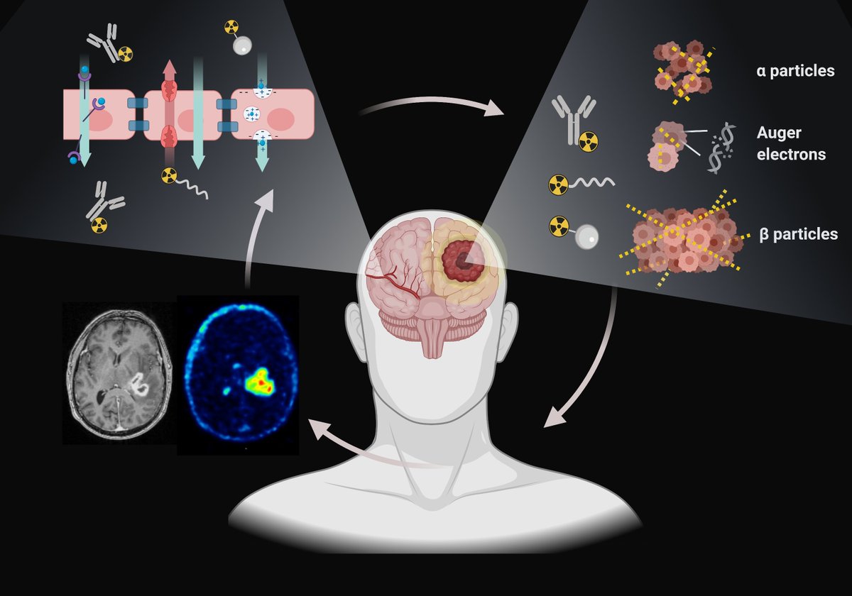 #Pharma goes #nuclear! #Radiopharmaceuticals not only have the possibility to image tumours for diagnostics purposes, they can also deliver a toxic level of radiation to disease sites. The future is #Theranostics. thno.org/v11p7911.pdf Image created with Biorender.com