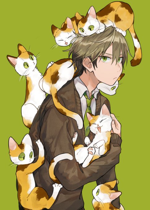 🐈🐈 