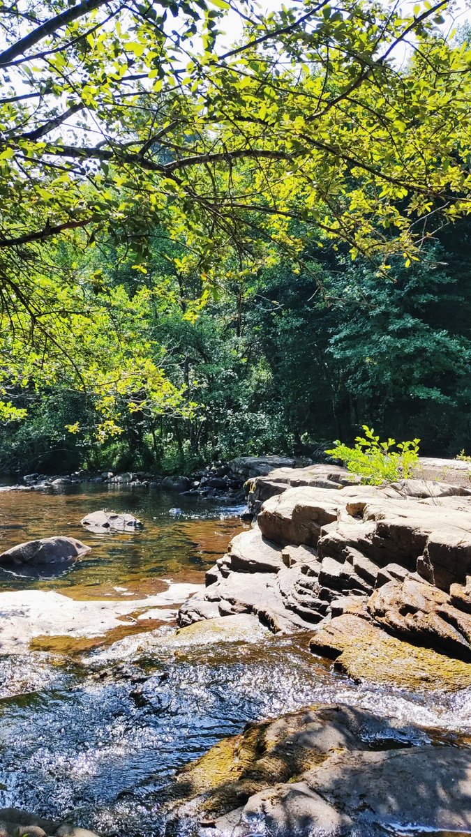 Zuia 🌼⛰️💧☀️🌻