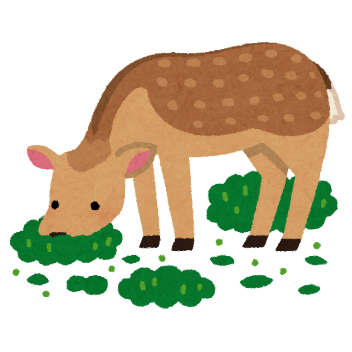 تويتر ゆ井子 على تويتر いらすとやさんのこの鹿かわいい うちの犬に顔が似てる T Co Etyjqfp78t