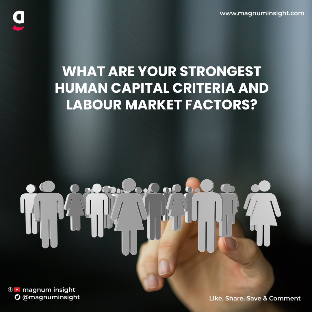 кадры организации. средние предприятия. примеры положительного человеческого капитала. кадры и человеческий капитал. политическая коммуникация картинки.