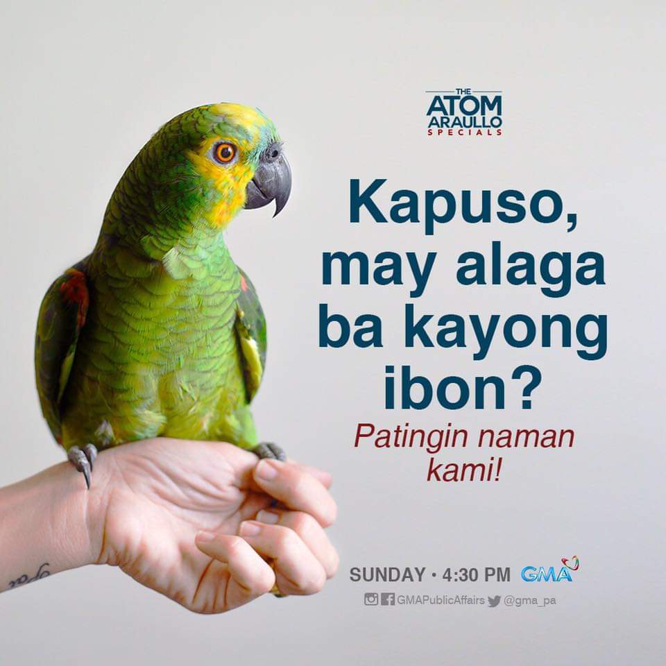 davinojp's tweet photo. @iamtjquintero https://t.co/FqKiJ8yBm1