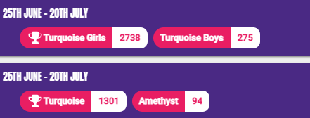 Our final battles for the year! <a href="/TurquoiseEPS/">Turquoise Class Elaine</a> claims victory over @AmethystEPS. Turquoise girls also won their battle. A great way to end the year! Well done everyone 😀🎉 <a href="/TTRockStars/">Times Tables Rock Stars</a> <a href="/PrimaryElaine/">Elaine Primary</a> #timestables