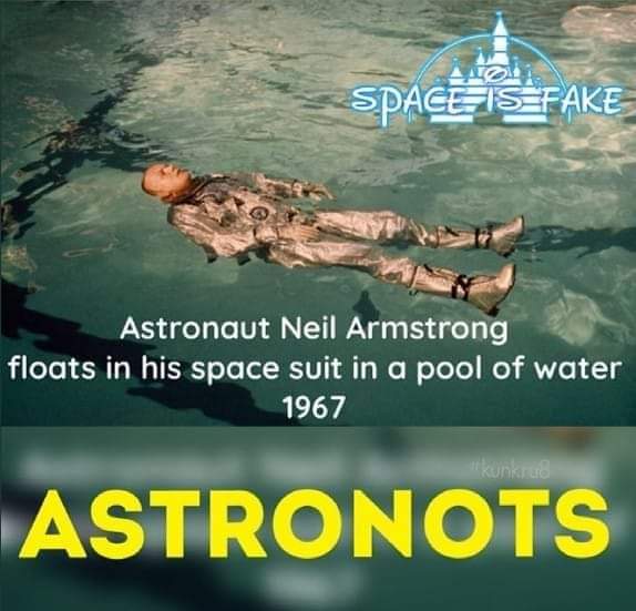 TrueSense-FE tweet media