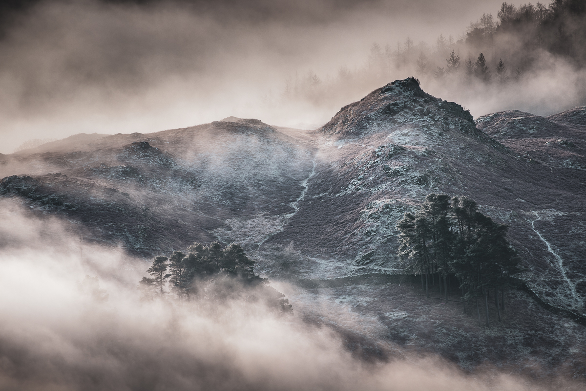 Cook House Gallery tweet media