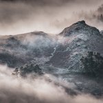 Photo by Cook House Gallery (@Cookhouseart)