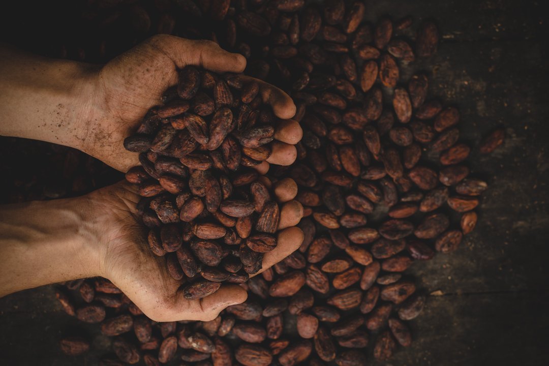 Trying to find your perfect coffee? Use our simple #Coffee Finder to narrow down your ideal origin or blended coffee from our extensive range.
Our coffee doesn't sit on a shelf waiting for the fresh aroma and taste to disappear.
What are you waiting for?
coffee-direct.co.uk/pages/coffee-f…