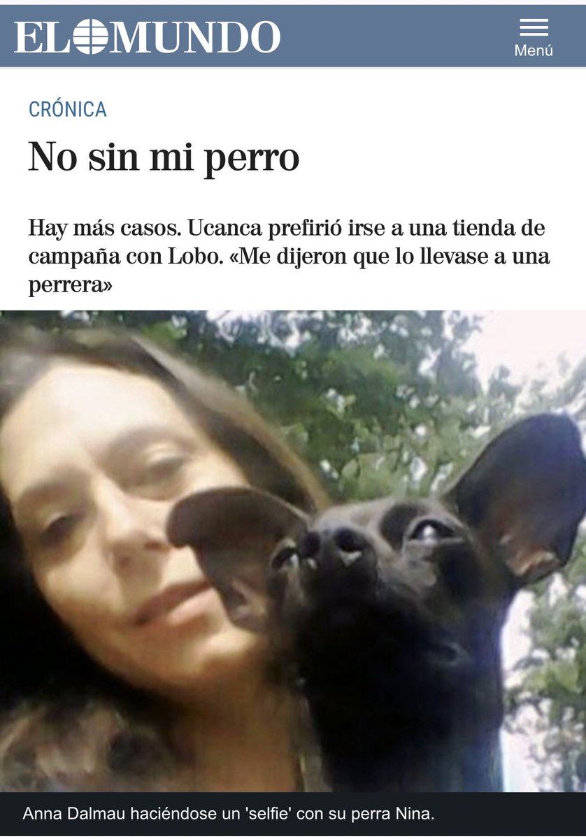 🟣🐾 No sin mi perro elmundo.es/cronica/2017/0… #ViolenciaDeGénero #noalmaltratoanimal #violenciainstrumental #ViolenciaVicaria #DiaInternacionaldelPerro #diamundialdelgos