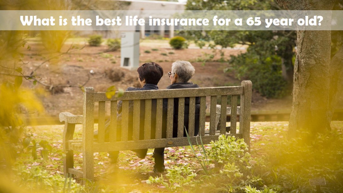 lifeinsuelderly's tweet image. What is the best life insurance for a 65 year old? 
mylifeinsuranceforelderly.com/no-exam-life-i… 
 
#Bestlifeinsurance #lifeinsuranceover65 #insuranceover65 #seniorlifeinsurance #lifeinsurancequotes