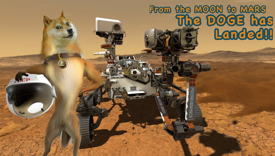 RocketDogeMars1's tweet photo. And that is how our team decided to launch #RocketDogeMars

#dogecoin #dogecointomars #token #Tokenomics https://t.co/HXzC4yLyiF