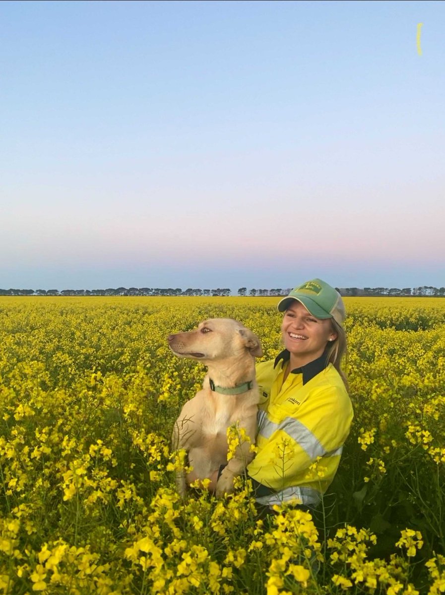 EZI Group Inc. tweet media