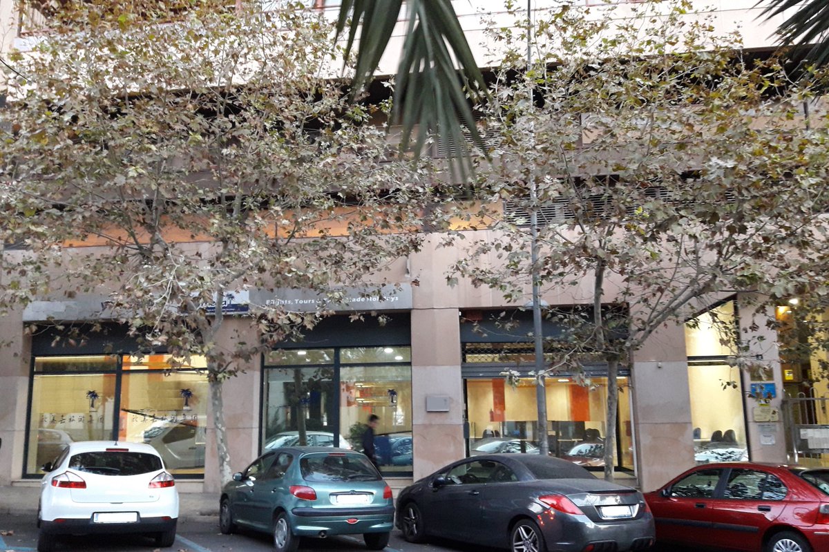 edialsa's tweet image. Get your workplace ready in a bright and spacious office in prime business location next to Alicante Port, Alicante Digital District, EUIPO and Hotels in the city centre🌴Alicante, a beautiful mediterranean city where you can go walking to the office🌞Costa Blanca, Spain @edialsa