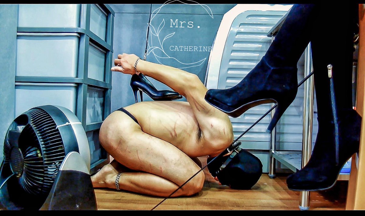 MistressLinLing's tweet photo. 靜靜的看著奴頂著高跟鞋
與其說是監視
不如說是等待著什麼

——————
如果喜歡我們的風格
歡迎贊助
支持拍攝影片

#家奴 #女王 #鞭打 #踩踏 #女尊男卑 #拘束 #皮手套 #雨靴 #長靴 #膝上靴 #過膝靴 #Hunter  #ponyplay #ponyslave #馬奴 https://t.co/5D9HTWcXJe