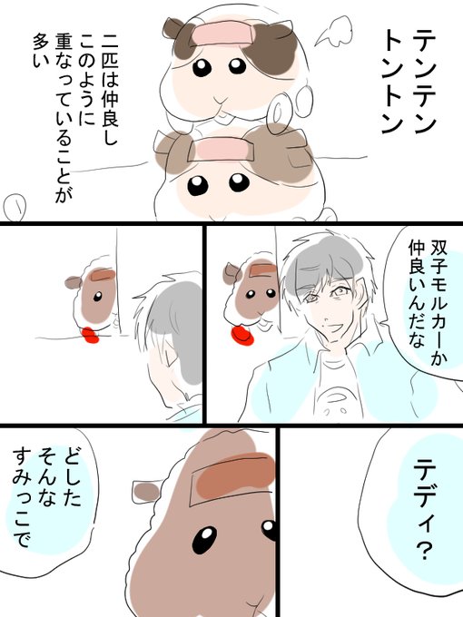 モルカー漫画描きました。明日は映画なので、ほどほどに。テディと飼い主(畜生氏)100万回の「どうすりゃ良かったんだ」を君に。 