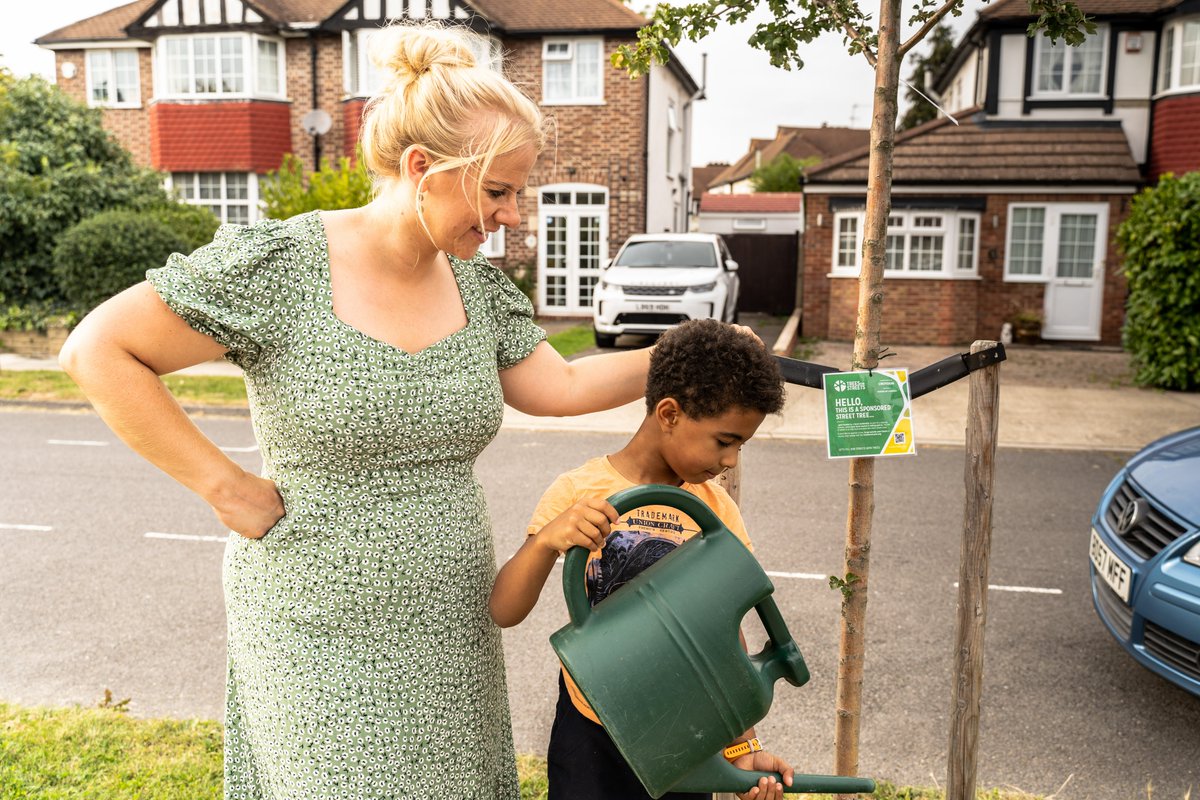 Trees for Streets tweet media