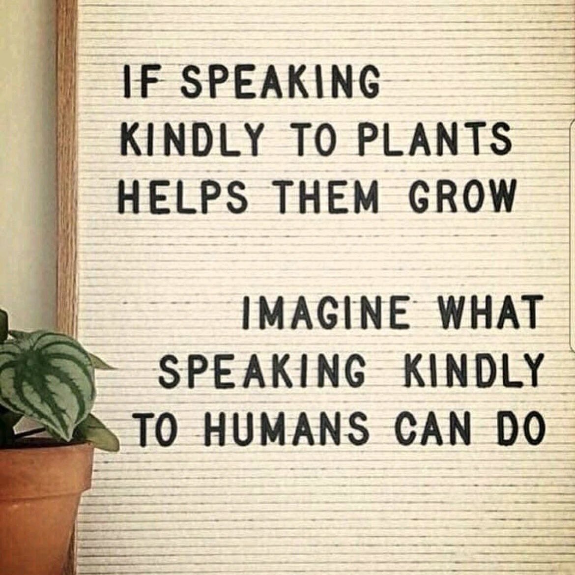 Be Kind with our words and actions😀