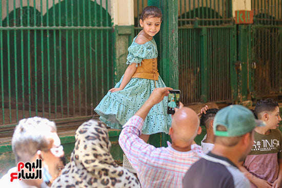 فى عينى يابنتى قمر الزمان.. جمهورك أنا وسط الزحام وحضنى أمان بعدسة كريم عبد العزيز