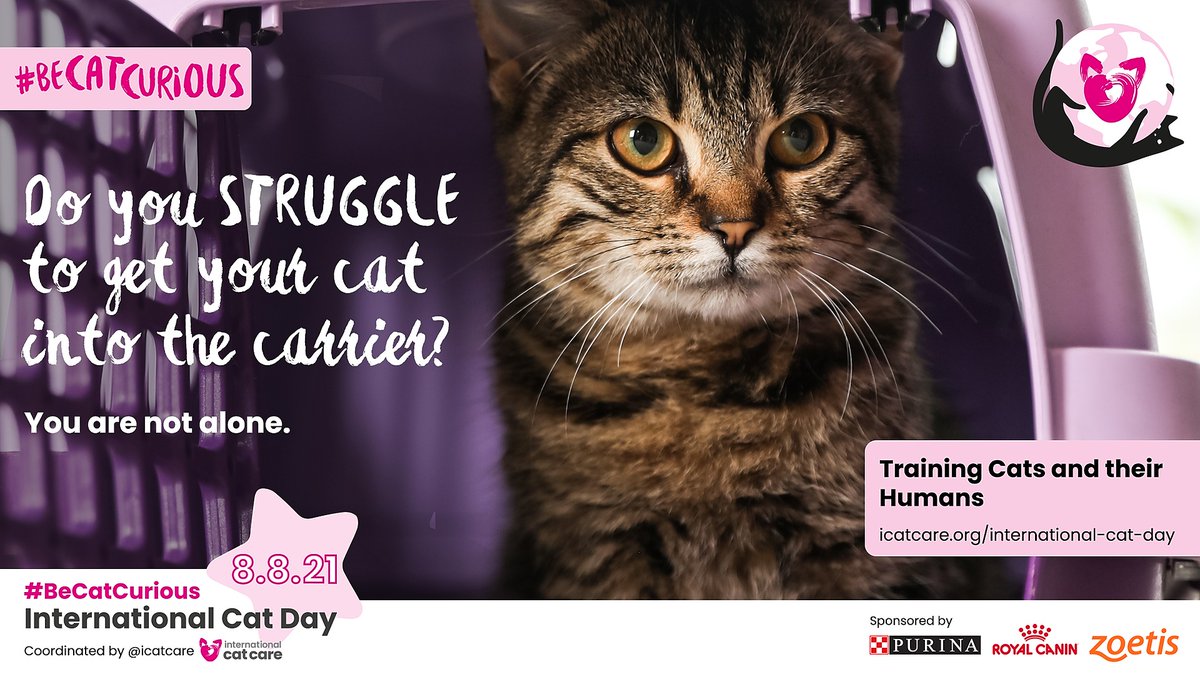 Whether you have a kitten, adult or senior cat, we've got you covered this International Cat Day, so whatever age your cat, they'll want to be involved this #InternationalCatDay🐱❤️  
Visit bit.ly/3eyr3Qg for more information.
#BeCatCurious
