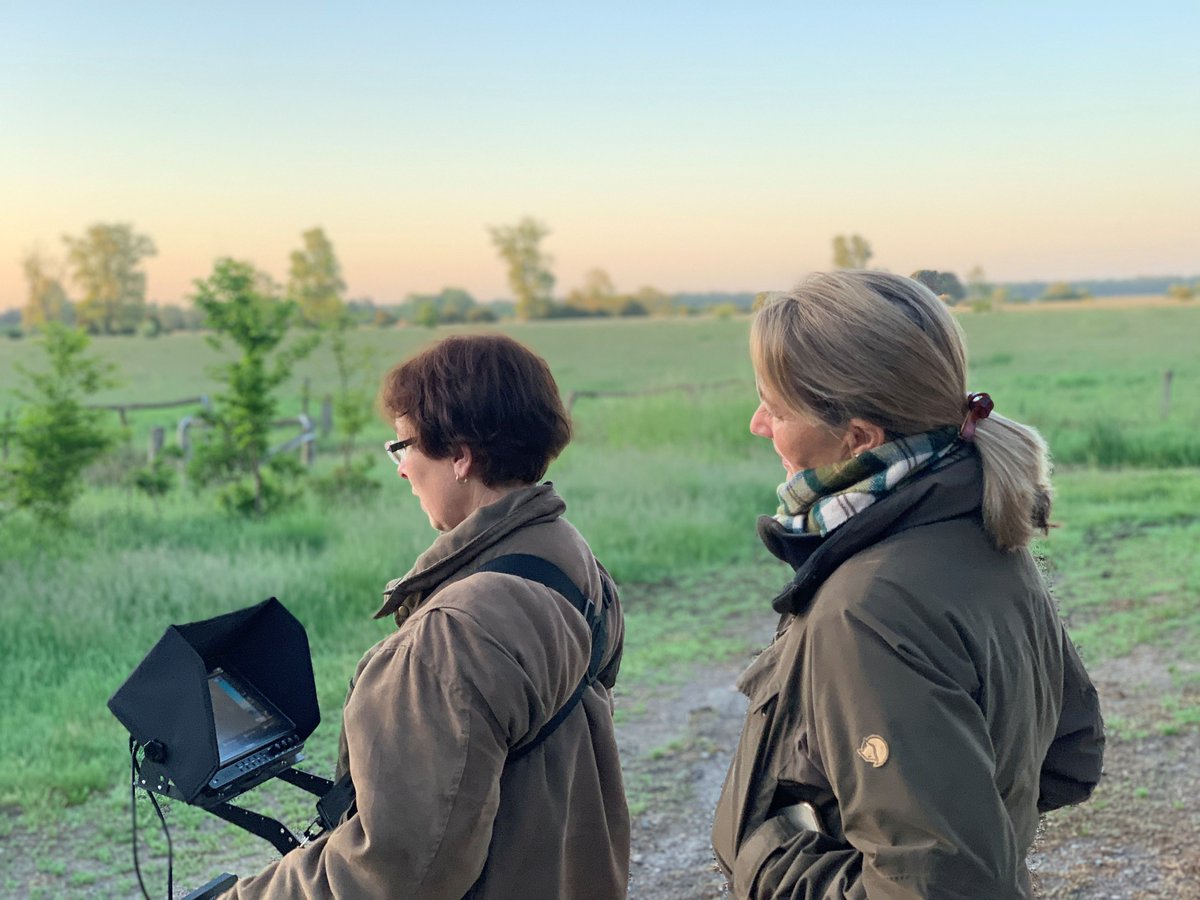 Eines der positivsten Trends des Jahres 2021 ist definitiv der Zuwachs bei den Wildrettungsteams. Alleine bei der Norddeutsche Wildtierrettung  sind innerhalb eines Jahres die eingetragenen Teams von 30 auf 79 gewachsen.