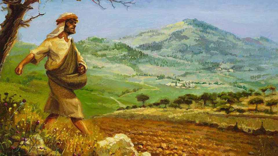 STOCCC2's tweet photo. By our actions, are we planting in good soil or are we letting it fall on the path, or on rocky ground? Caring for others is sowing good seed.
https://t.co/P84SCbL99i
 #StTeresaofCalcuttaCatholicCommunity  #STOCCC #CACINA #CACINACatholics #CatholicTwitter #Catholic https://t.co/uOvs0SUt94
