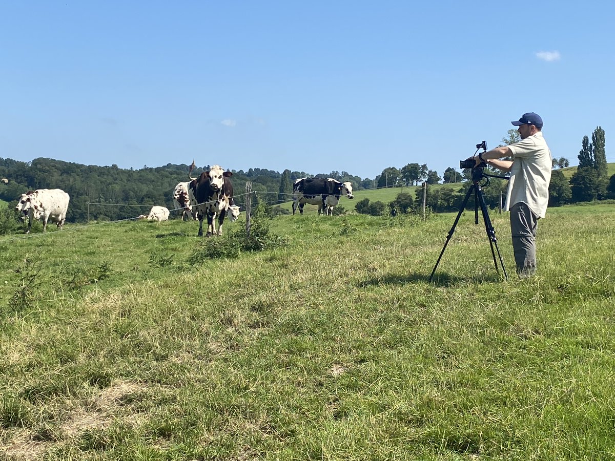 apostrophe_cie's tweet photo. La journée d’hier était magnifique ! Au programme, tournage #vidéo + #shootingphotos organisés par Apo pour la Fromagerie Durand, dernier site de production de #camemberts sur la commune de Camembert ! 

L'équipe y retourne début août. On a hâte !

@misscamembert 
#communication https://t.co/K1BtA1RA2G