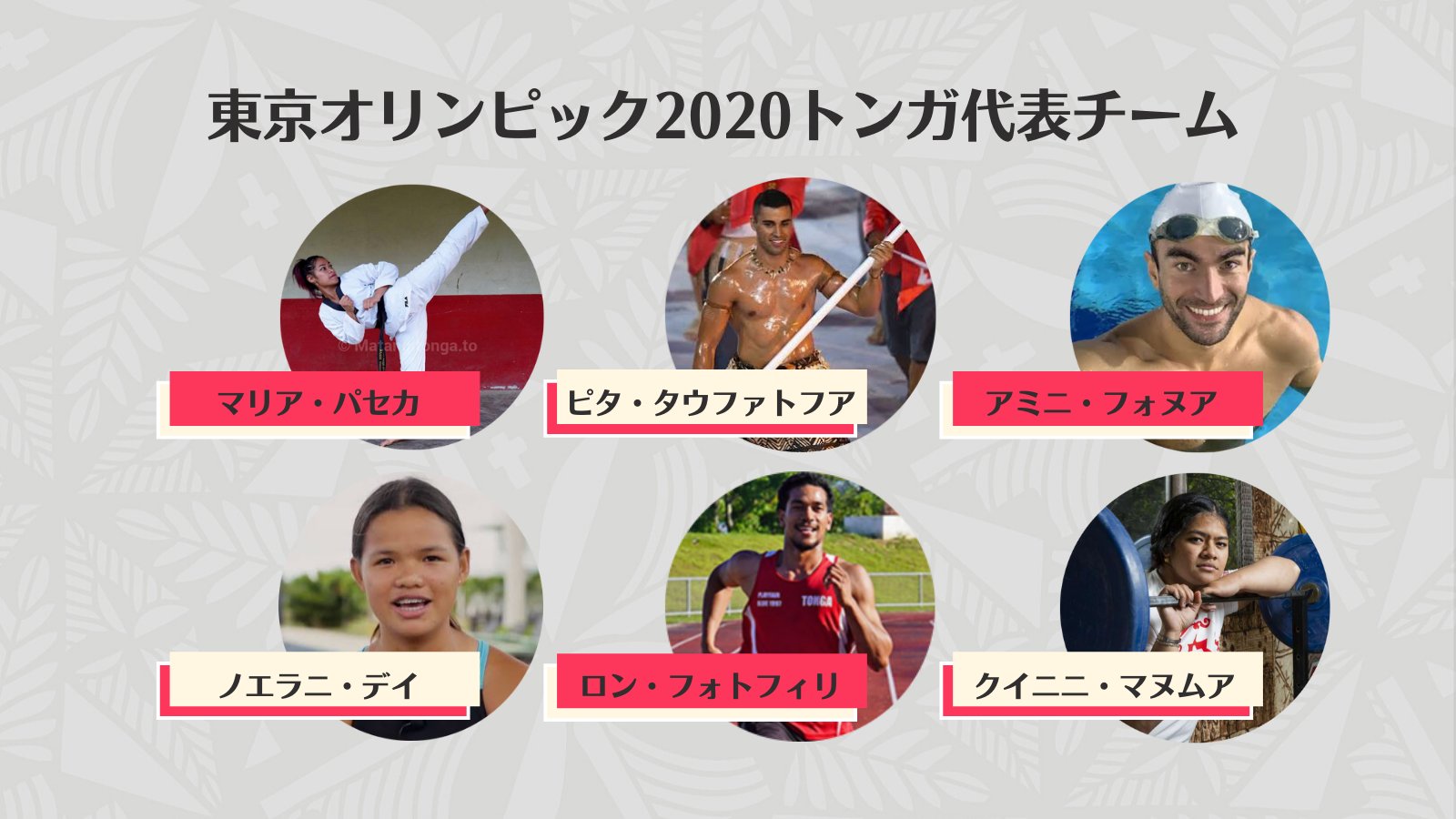 駐日トンガ王国大使館 Tonga Embassy Tokyo Tet メンバーは以下の通りです テコンドー マリア パセカ テコンドー ピタ タウファトフア 競泳 アミニ フォヌア 競泳 ノエラニ デイ 陸上競技 ロン フォトフィリ ウエイトリフティング クイニニ